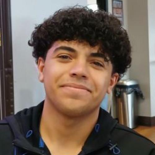 Cruz-Amaro and Stark