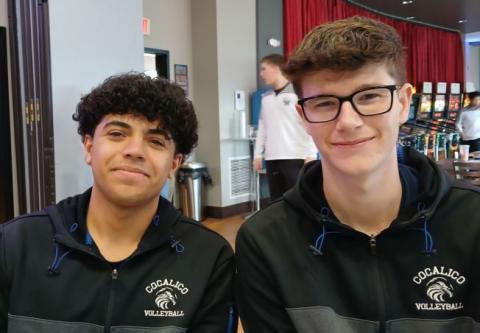 Cruz-Amaro and Stark